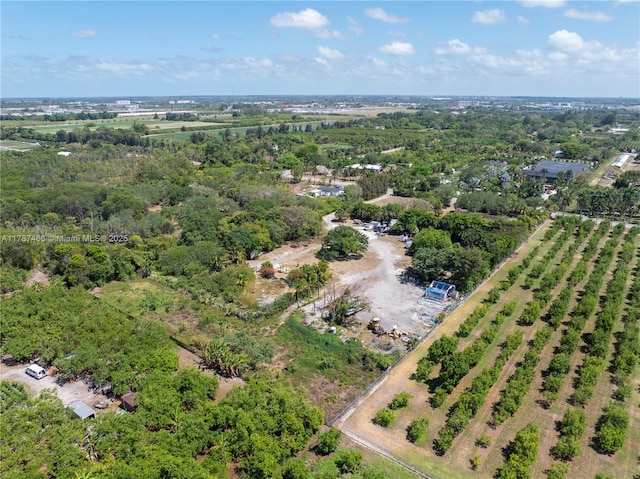 14275 SW 232nd St, Miami, FL 33170 - aerial view