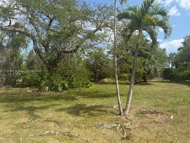 14275 SW 232nd St, Miami, FL 33170 - view of grassy yard