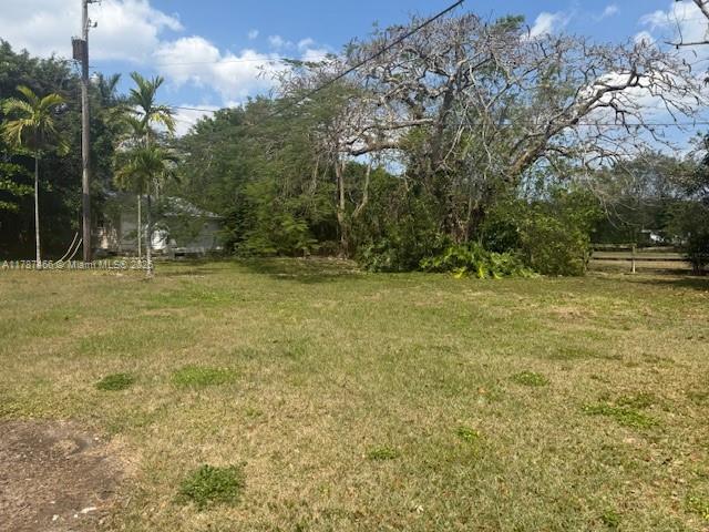 14275 SW 232nd St, Miami, FL 33170 - view of green lawn