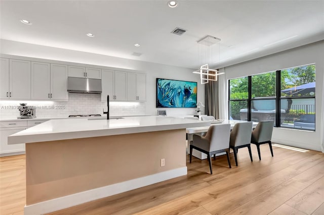 8608 Torrey Isles Ter, Boca Raton, FL 33496 - kitchen with under cabinet range hood, light countertops, light wood-style floors, and recessed lighting