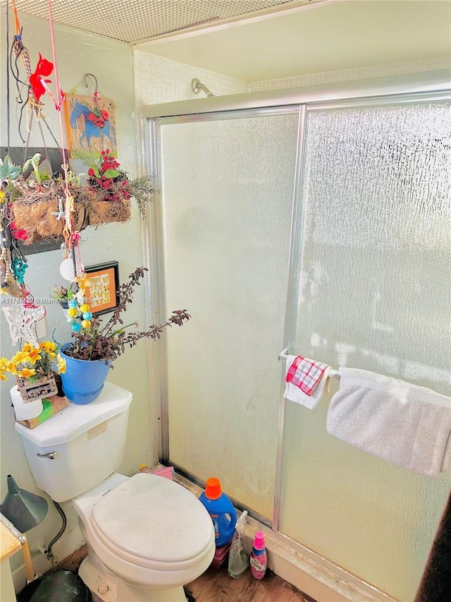 bathroom with toilet and a stall shower