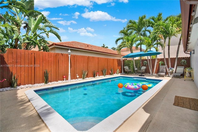 view of pool featuring a fenced backyard, a fenced in pool, and a patio