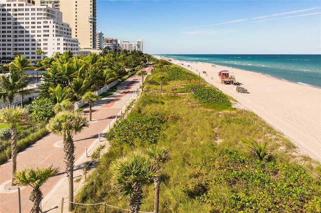 4925 Collins Ave Unit 8G, Miami Beach, FL 33140 - property view of water with a view of the beach