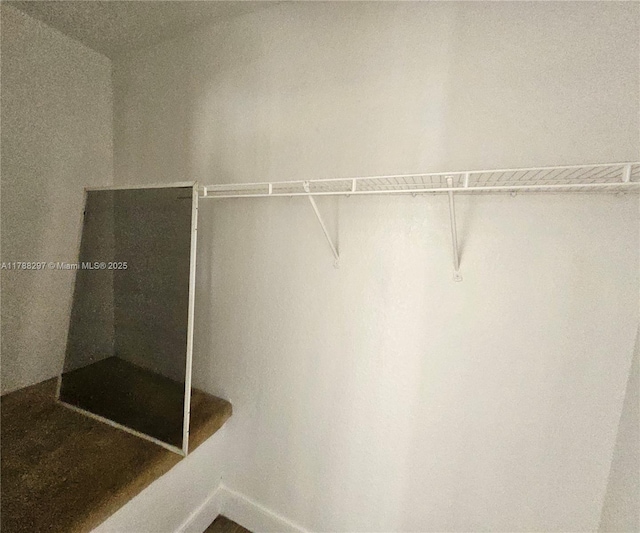 450 NW 84th St Unit 450, Miami, FL 33150 - view of closet