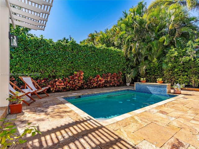 5510 San Vicente St, Coral Gables, FL 33146 - view of swimming pool with a patio area and a fenced in pool