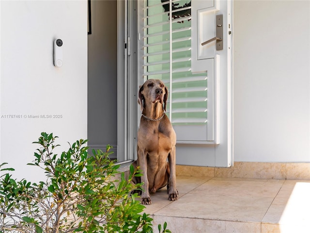 5510 San Vicente St, Coral Gables, FL 33146 - details with stucco siding