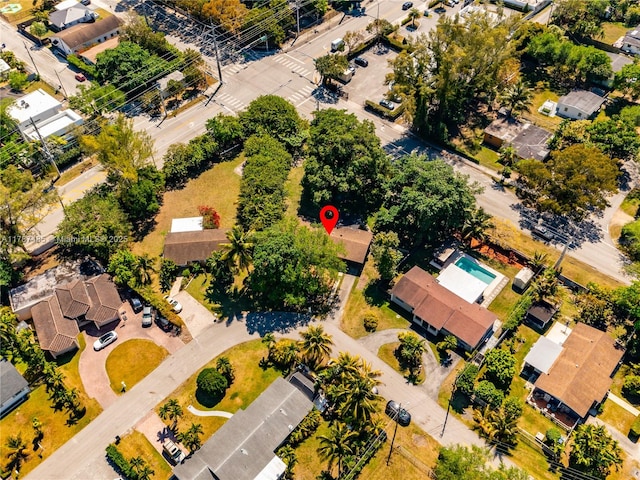 bird's eye view