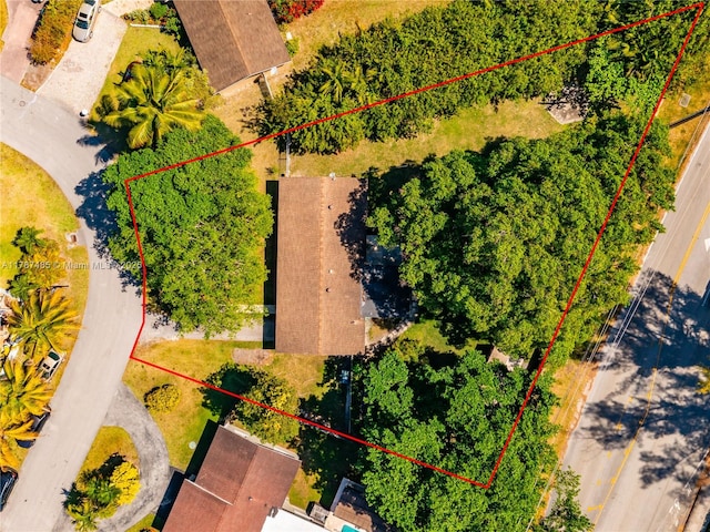 bird's eye view