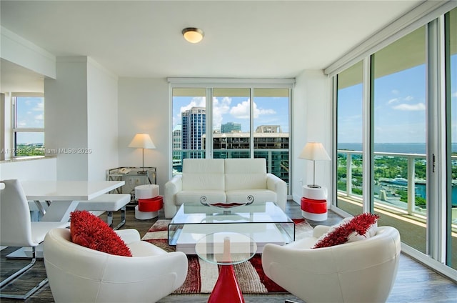 2889 Mcfarlane Rd Unit 1601, Coconut Grove, FL 33133 - living room with wood finished floors, a healthy amount of sunlight, and a wall of windows