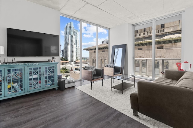 living area with floor to ceiling windows and dark wood finished floors