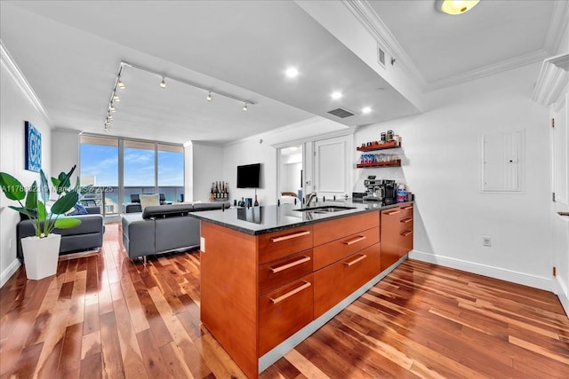 kitchen with visible vents, crown molding, and a sink