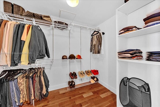 spacious closet featuring wood finished floors