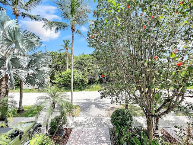 381 Franklin St, Hollywood, FL 33019 - surrounding community featuring a patio