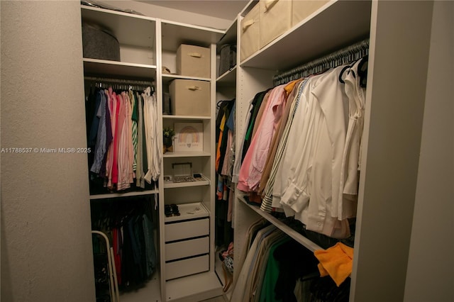 view of spacious closet