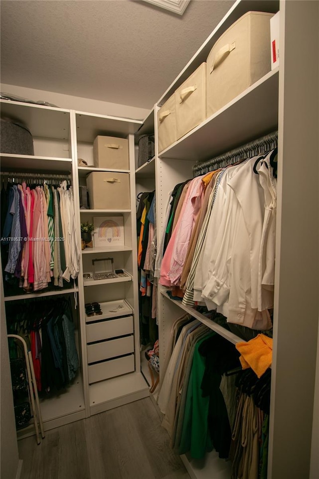 walk in closet featuring wood finished floors