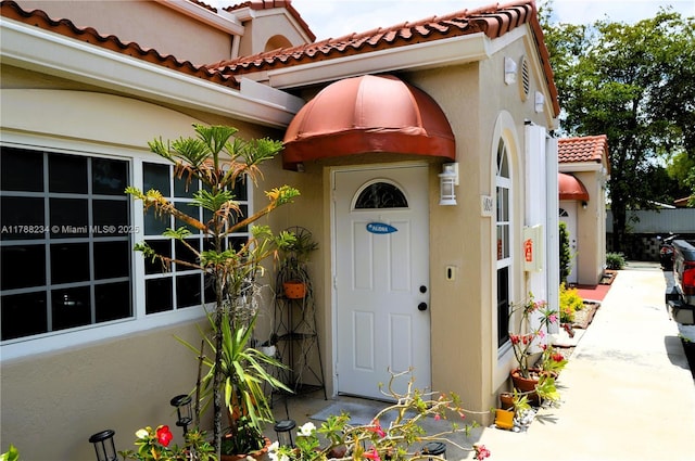 doorway to property featuring stucco siding and a tile roof