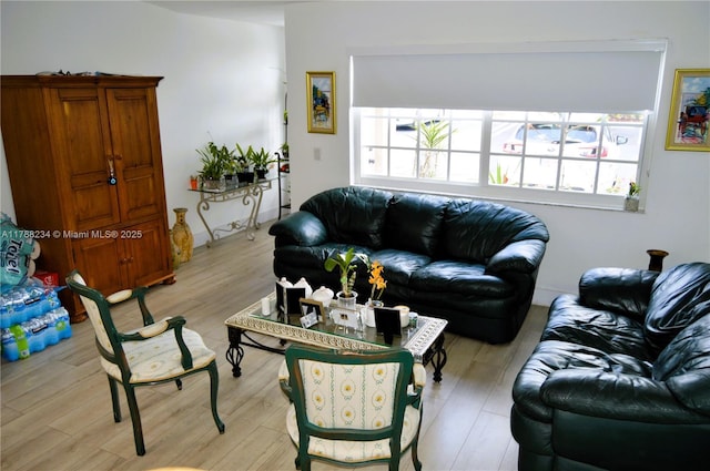 living room featuring light wood-style floors