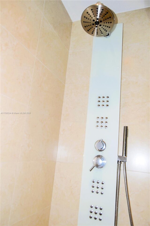 room details with tiled shower