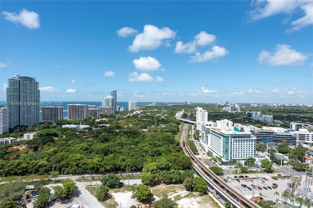 60 SW 13th St Unit 2609, Miami, FL 33130 - view of urban area