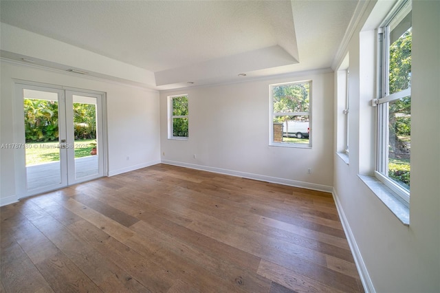unfurnished room featuring baseboards, french doors, hardwood / wood-style floors, and a tray ceiling