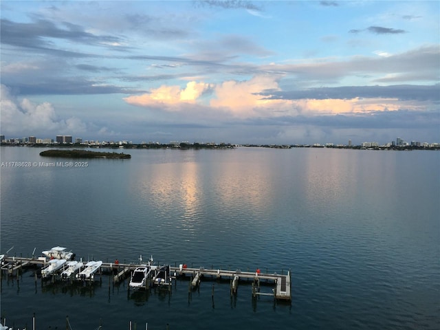 2000 Towerside Ter Unit 702, Miami, FL 33138 - property view of water with a boat dock