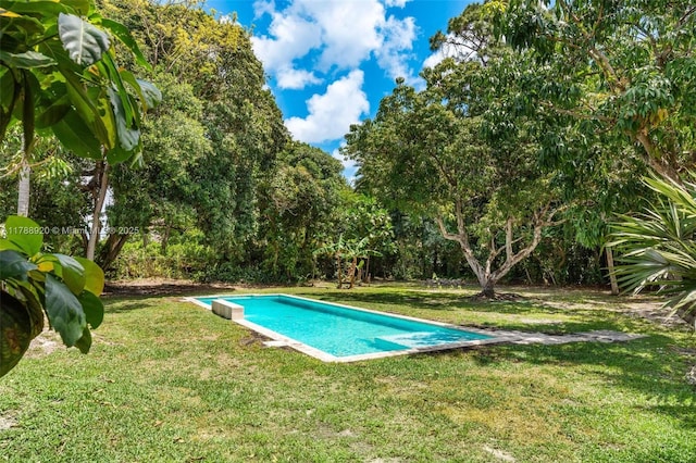 6845 SW 57th Ter, Miami, FL 33143 - swimming pool with a lawn