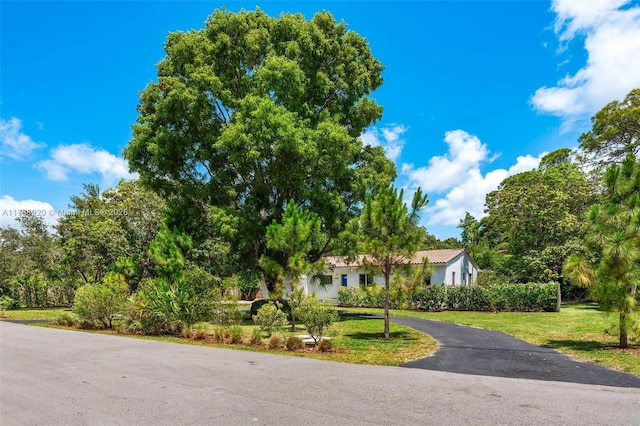 6845 SW 57th Ter, Miami, FL 33143 - obstructed view of property with driveway and a front lawn