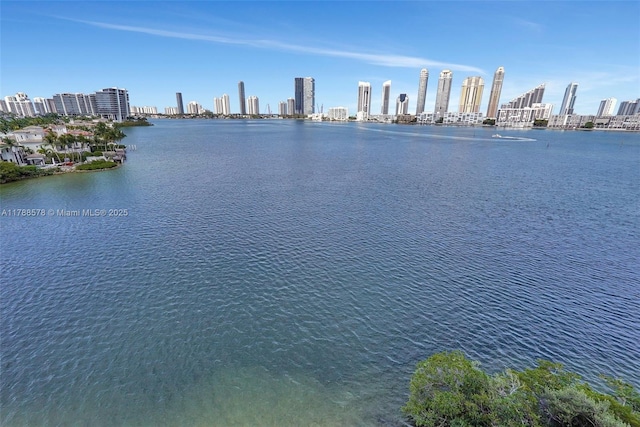 3000 Island Blvd Unit 706, Aventura, FL 33160 - water view featuring city skyline