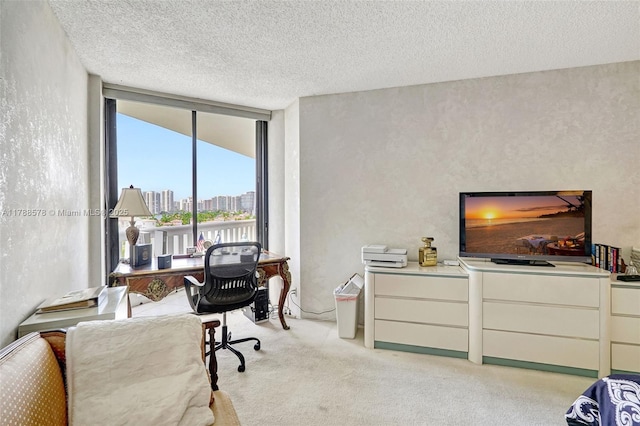 3000 Island Blvd Unit 706, Aventura, FL 33160 - office area with light colored carpet, a textured ceiling, and expansive windows