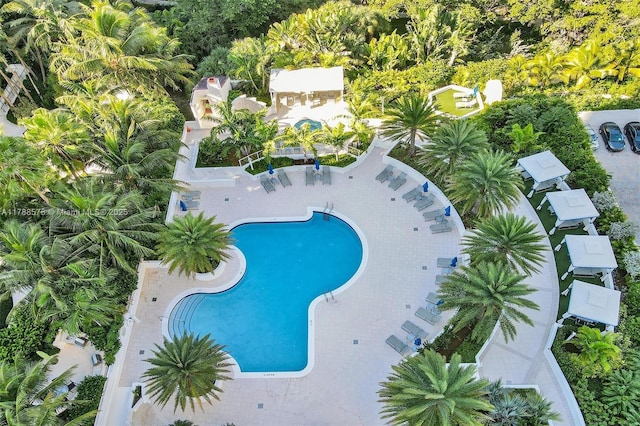 3000 Island Blvd Unit 706, Aventura, FL 33160 - view of swimming pool