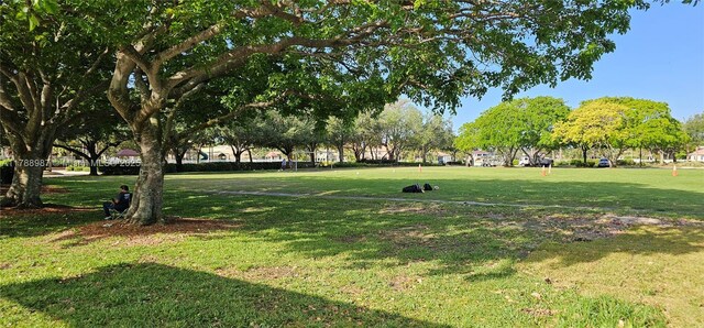 view of home's community with a yard