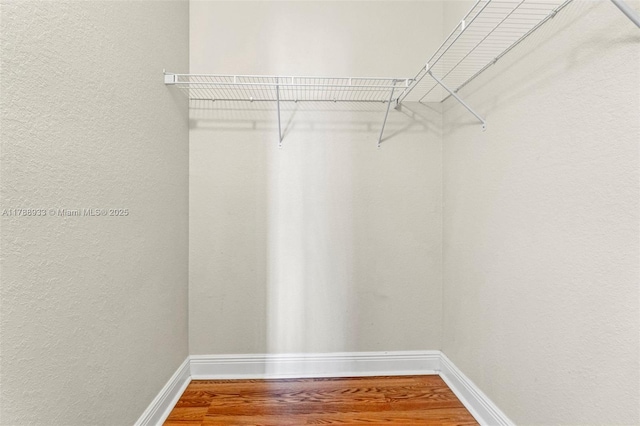 walk in closet featuring wood finished floors