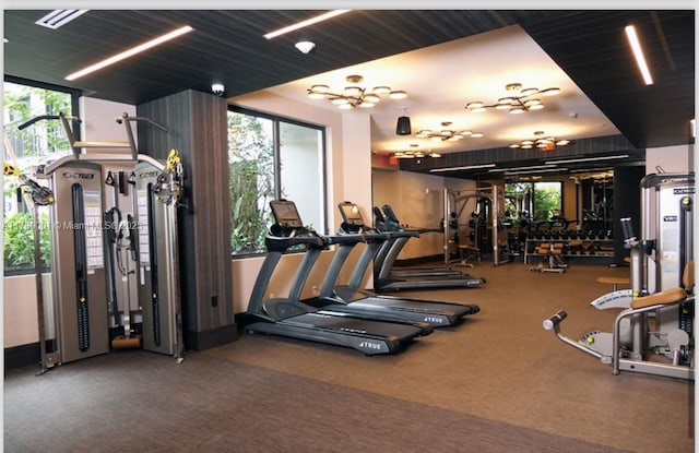 workout area with carpet