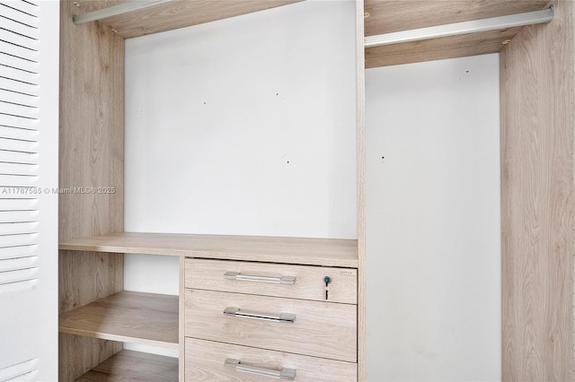 view of closet