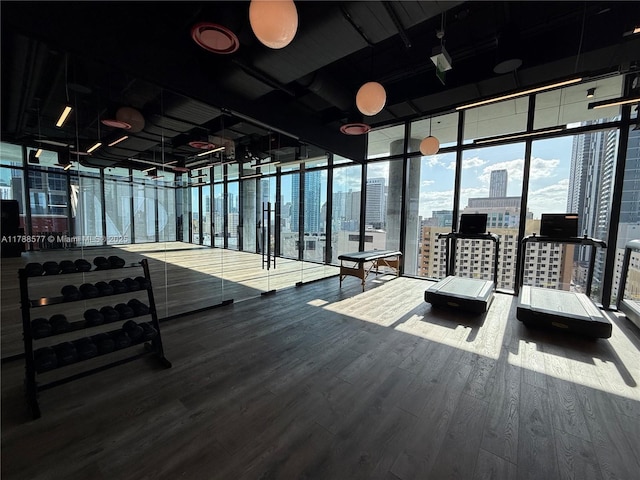 398 NE 5th St Unit 2805, Miami, FL 33132 - workout area featuring wood finished floors, expansive windows, and a view of city
