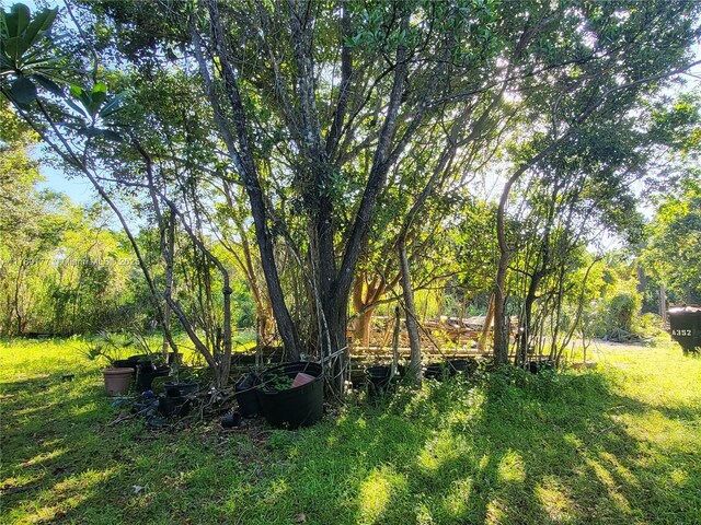 30809 SW 214th Ave, Homestead, FL 33030 - photo 3
