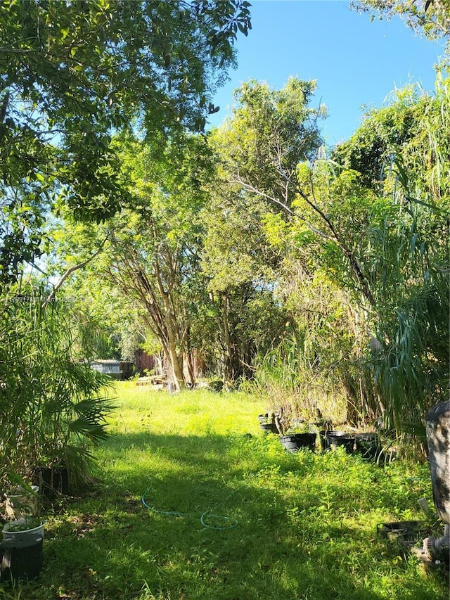 30809 SW 214th Ave, Homestead, FL 33030 - photo 7