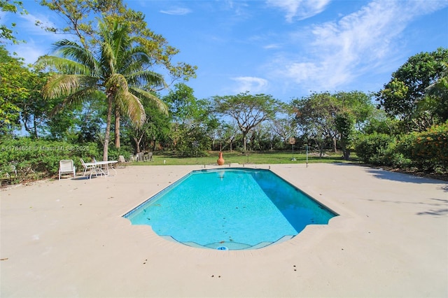 14875 SW 238th St, Homestead, FL 33032 - outdoor pool featuring a patio area and view of wooded area