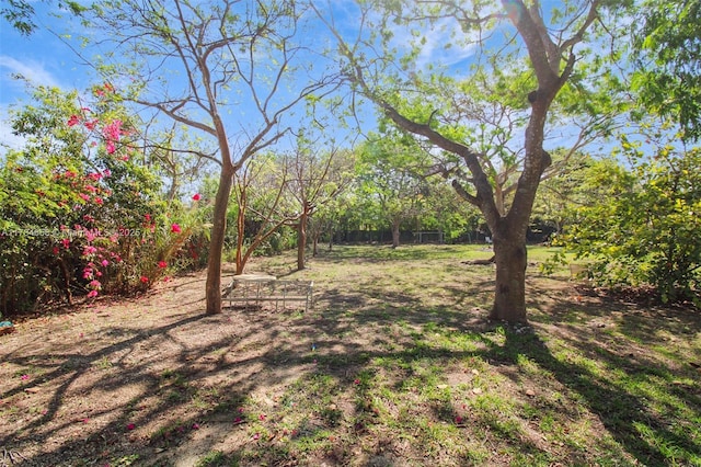 14875 SW 238th St, Homestead, FL 33032 - view of yard