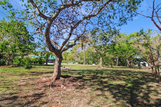 14875 SW 238th St, Homestead, FL 33032 - view of grassy yard