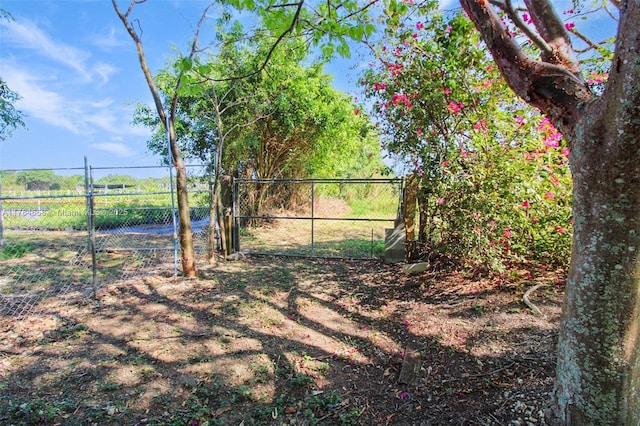14875 SW 238th St, Homestead, FL 33032 - gate with fence