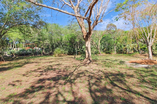 14875 SW 238th St, Homestead, FL 33032 - view of yard featuring a view of trees