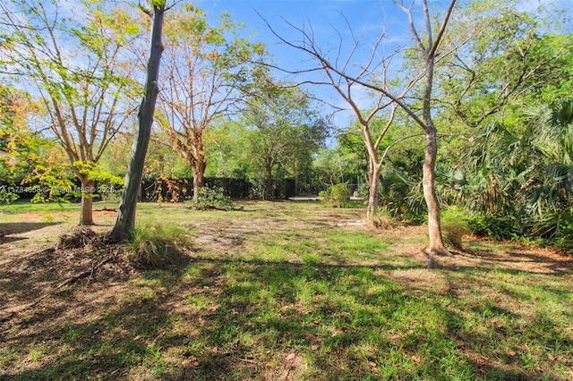 14875 SW 238th St, Homestead, FL 33032 - view of yard