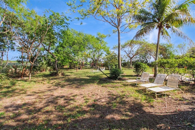 14875 SW 238th St, Homestead, FL 33032 - view of yard