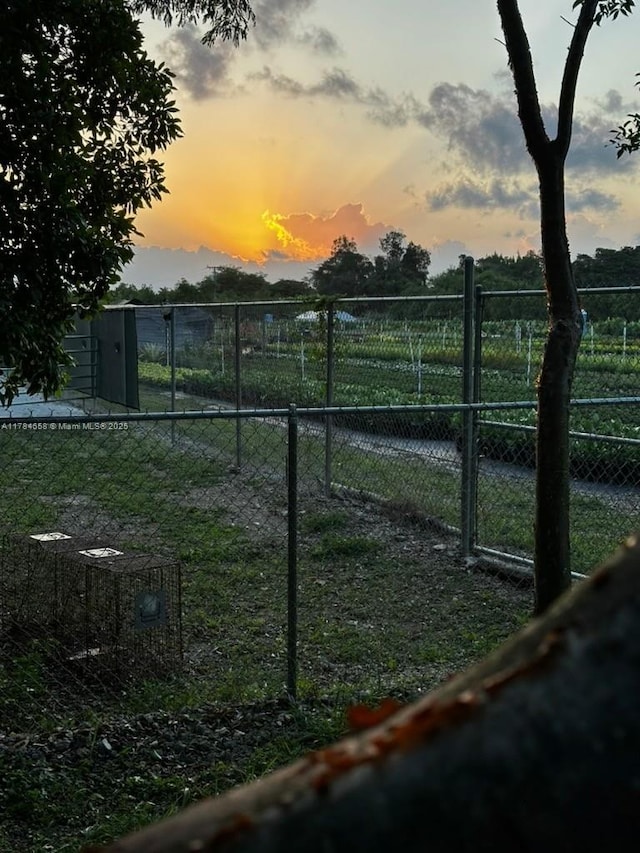 14875 SW 238th St, Homestead, FL 33032 - view of yard