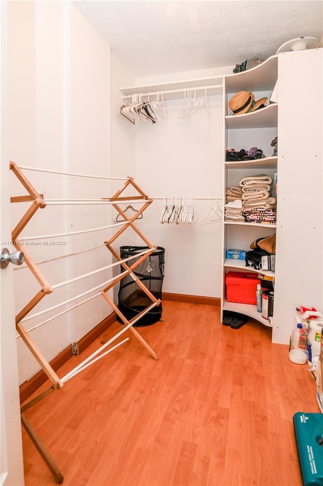 spacious closet featuring wood finished floors