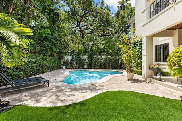 1672 Micanopy Ave, Miami, FL 33133 - view of pool featuring a patio and a fenced backyard