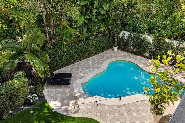1672 Micanopy Ave, Miami, FL 33133 - view of swimming pool with a patio and a fenced backyard