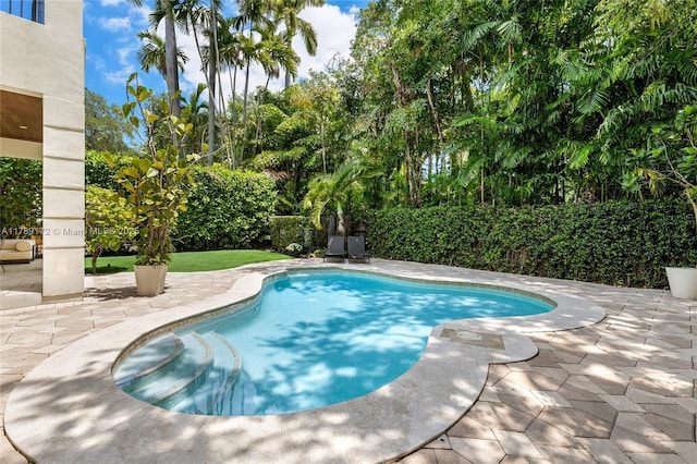 1672 Micanopy Ave, Miami, FL 33133 - view of swimming pool with a patio