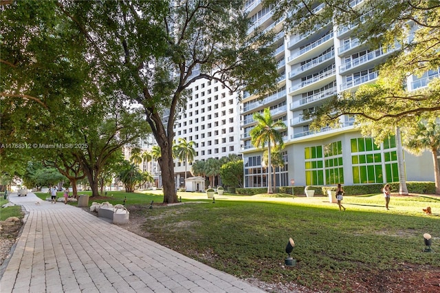 view of property's community with a yard